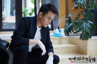 电视剧蜗牛也有爱情在线观看,浪漫邂逅，温情治愈之旅